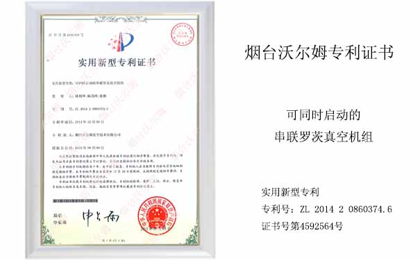 可同時(shí)啟動(dòng)的串聯(lián)羅茨真空機(jī)組專(zhuān)利證書(shū)_煙臺(tái)沃爾姆真空泵獲得專(zhuān)利